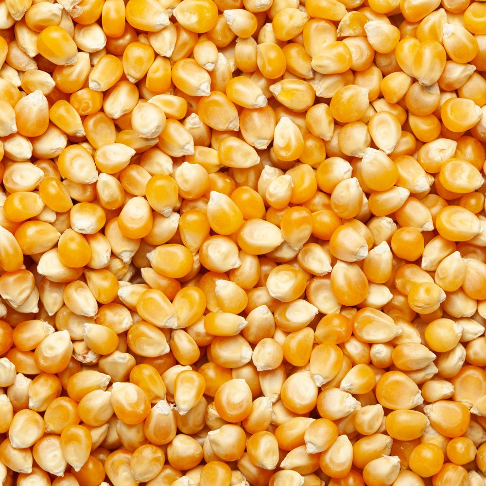Maize — representative product photograph